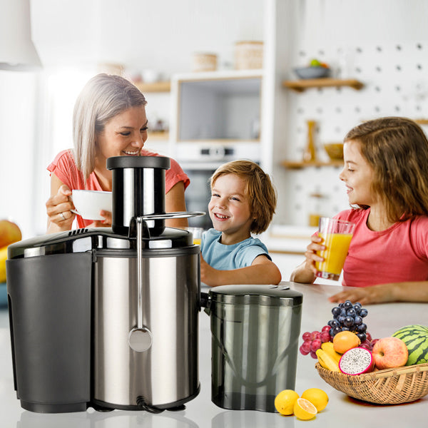 Home Use Multi-function Electric Juicer_5